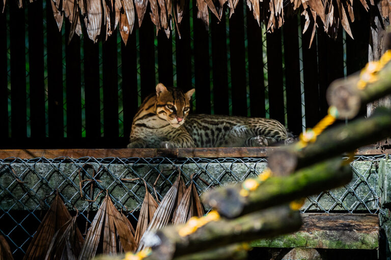 22072026__DSC6374
